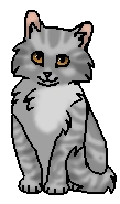 Вербочка (котёнок)