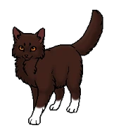 Белолап(ка) (оруженосец)