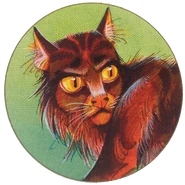 Из русскоязычного издания «Секретов племён»