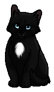 Лоскуточек (котёнок)