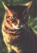 На обложке англоязычного издания «Тени Когтегрива»