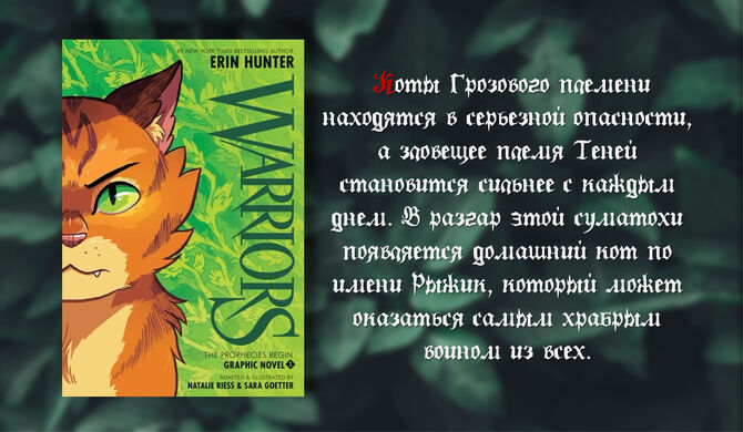 Коты-воители вики | Fandom