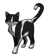 оруженосец