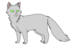 Полынник окрас