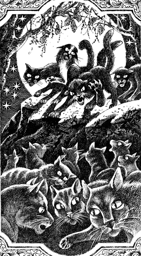 Эрин хантер книги. Коты воители книга солнечный путь. Коты воители путеводитель секреты племен. Начало племен. Хантер эрин "солнечный путь".