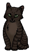 Вихревей (котёнок).png (16 КБ) Вихрастик (котёнок)