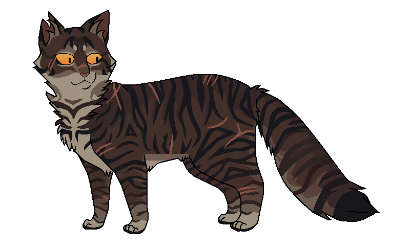 Ravenpaw Warrior cats  Кот-воитель, Кот, Герои