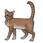 Листвичка (воительница).png (43 Кб) Листвичка (воительница)