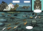 Из манги «Ветер перемен»