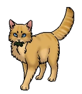 Корешок (?) (ученик целителя)