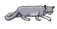 Пушистохвостый (проходчик).png (15 КБ) Пушистохвостый (проходчик)