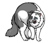 Пятноух (?) (обитатель Сумрачного леса)