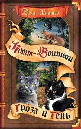 Старая обложка