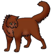 Острозвёзд (звёздный предок)