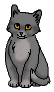 Головешка (котёнок)