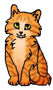Палёныш (котёнок)