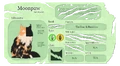 Лунолапка вебсайт.png (555 КБ) Иллюстрация с официального вебсайта