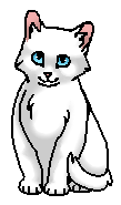 Чаечка (котёнок)