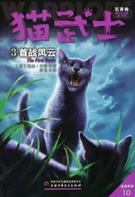 Китайская обложка