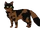 Жук