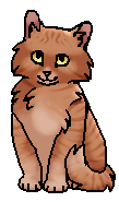 . Пижмочка.png (17 КБ) (котёнок)