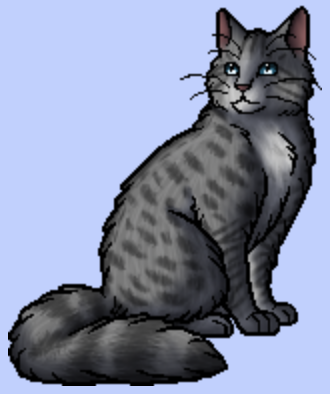 Jayfeather, Warrior Cats Wiki