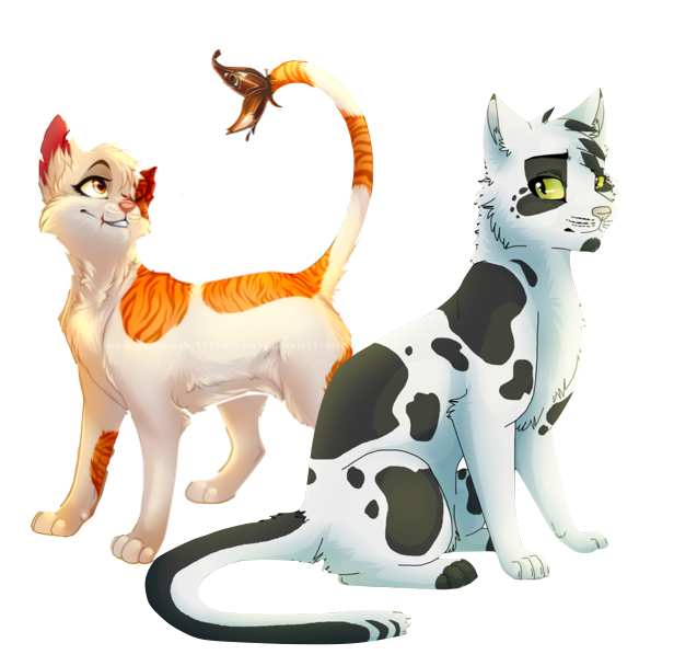 warrior cats brightheart and swiftpaw