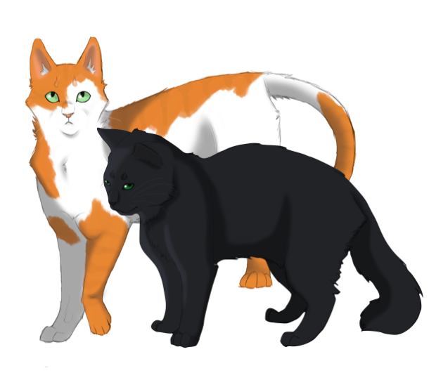 Featured image of post The Best 28 Warrior Cats Hollyleaf And Fallen Leaves Kits