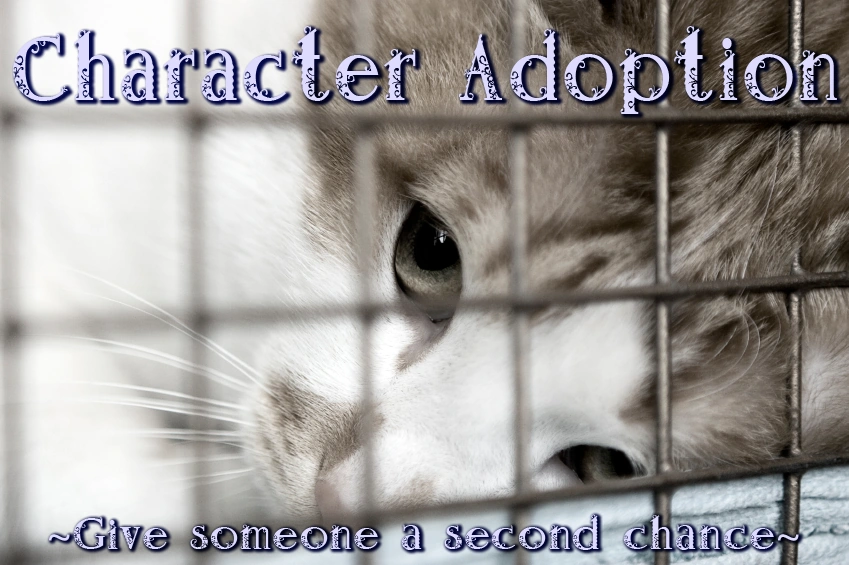 Character Adoption Warriors Frostclan Roleplay Wikia Fandom