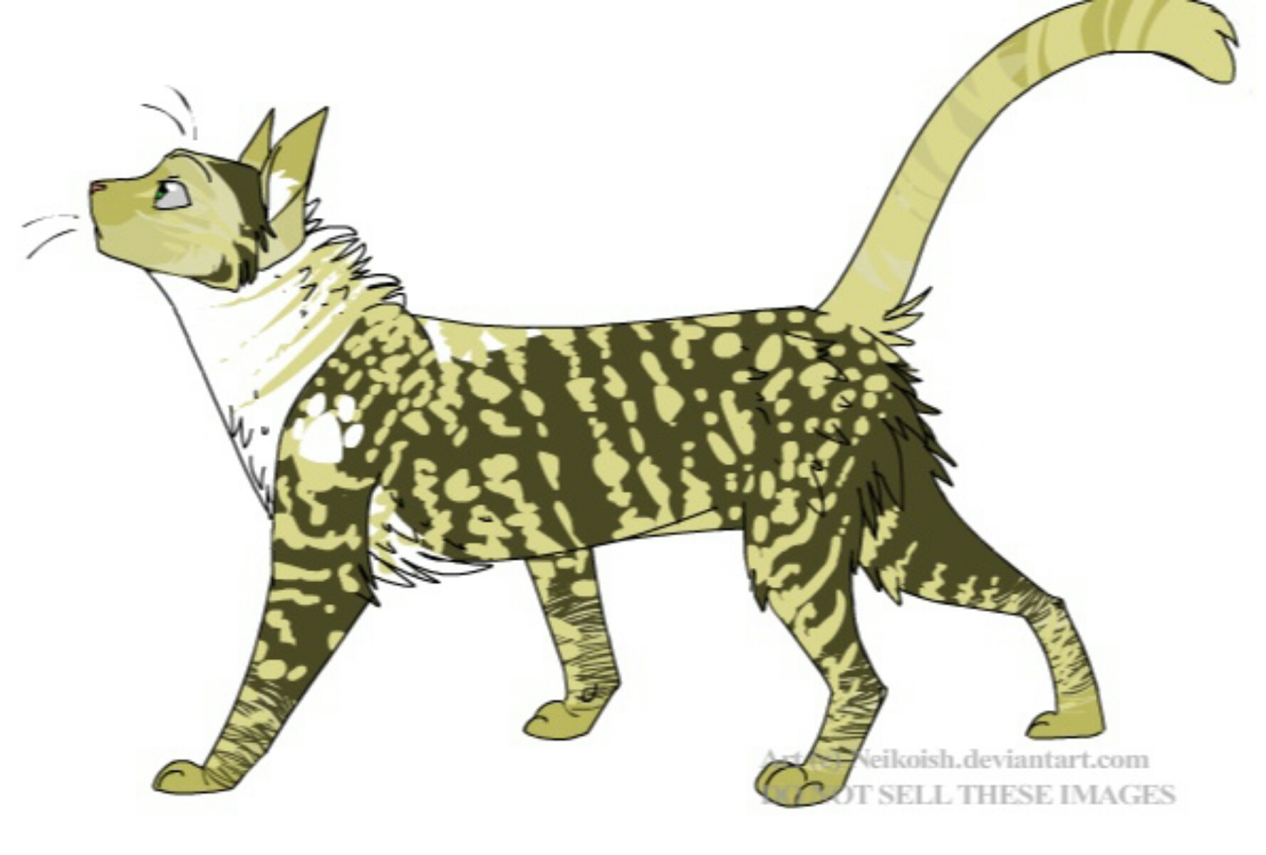 Lightningpelt, Warriors Wiki