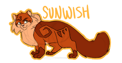 My Warrior Cats Characters! (OC Wiki) - Sunnyeyes - Wattpad