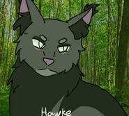 Art by Rei Hawke