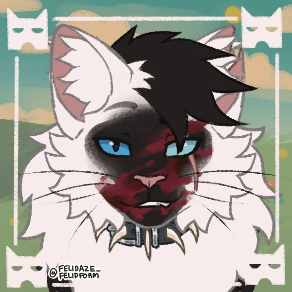 Darkfrost Oc Warriors Oc S Wiki Fandom