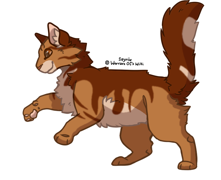 Character Reference [Warrior Cats: RS] by AutumnFoxtrot on DeviantArt