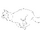 Name.softpaw.long.png