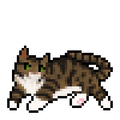 Senior sprite