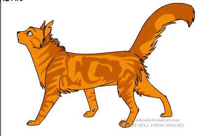 Character Reference [Warrior Cats: RS] by AutumnFoxtrot on DeviantArt