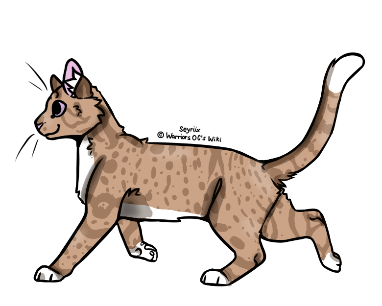 My Warrior Cats Characters! (OC Wiki) - Chanterellepaw - Wattpad