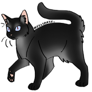 Image by Cat Genetics Simulator