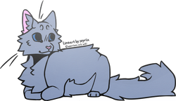 Warrior Cats - Bluestar is next and I absolutely adore the