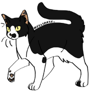 Image by Cat Genetics Simulator
