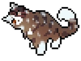 Onestar (TC)