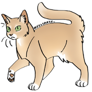 Image by Cat Genetics Simulator