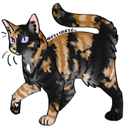 Image by Cat Genetics Simulator