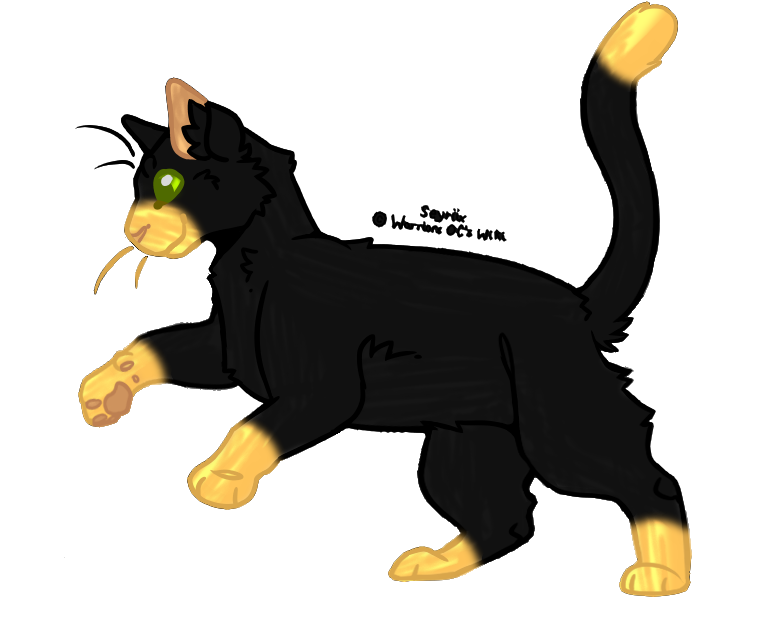 Fuzzybee Tsots Warriors Oc S Wiki Fandom