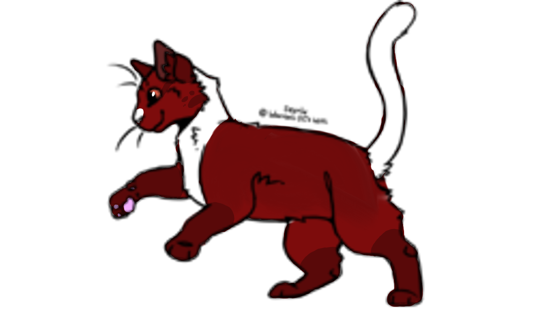 Flamepetal (SC) Warriors OC's Wiki Fandom