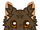 Brookleap (DN)
