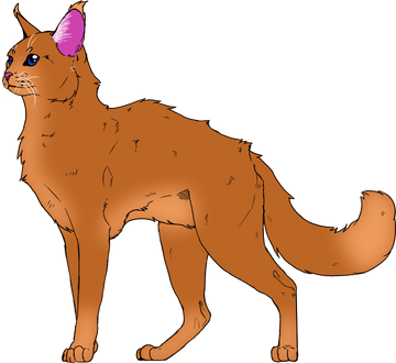 Vulpix-chan - Warrior Cats Free Icons To Use PNG Transparent With Clear  Background ID 189287