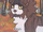 Jackalpelt