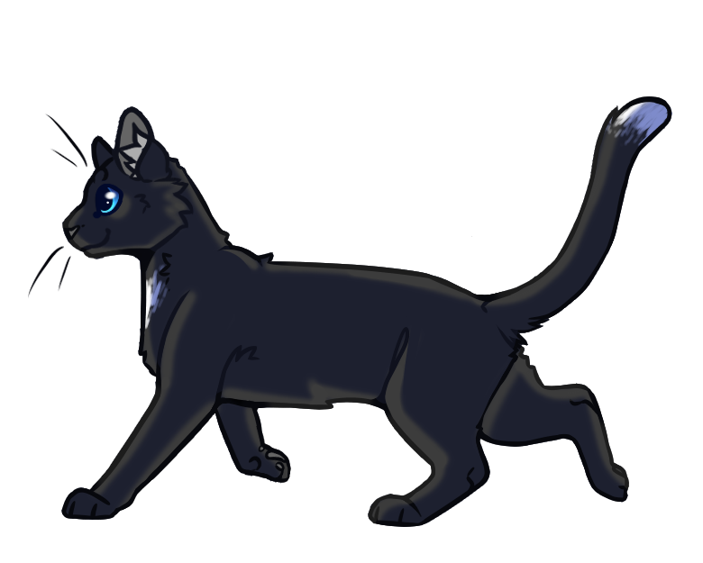 Ravenpaw, Warrior cats Wiki